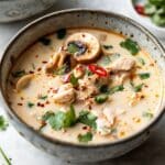 Easy Thai Coconut Chicken Soup