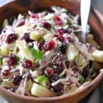 Apple Cranberry Coleslaw