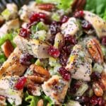 Cranberry Pecan Chicken Salad with Poppy Seed Dressing
