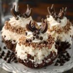 Easy No-Bake Moose Farts