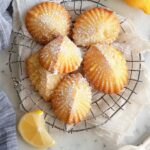 Meyer Lemon Madeleines