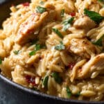 The Ultimate Guide to One-Pot Cajun Chicken Alfredo Orzo