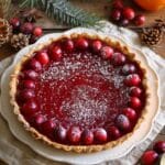 Festive Cranberry Curd Tart for the Holidays