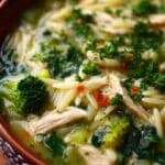 Broccoli Chicken Orzo Soup with Spinach