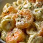 Cheese Tortellini Shrimp Alfredo