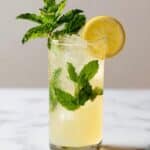 Mint Lemonade Mocktail Recipe