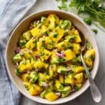 Fresh Mango Salad with Avocado, Red Onion, and Cilantro in a Lime Vinaigrette Recipe