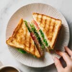 Chipotle Chicken Avocado Melt Recipe