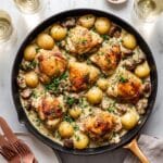 French Chicken Casserole Recipe