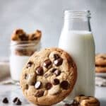Single Serve Chocolate Chip Cookie Recipe