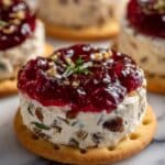 Raspberry Preserves and Cheddar Cheese Dip with Pecans and Green Onions Recipe